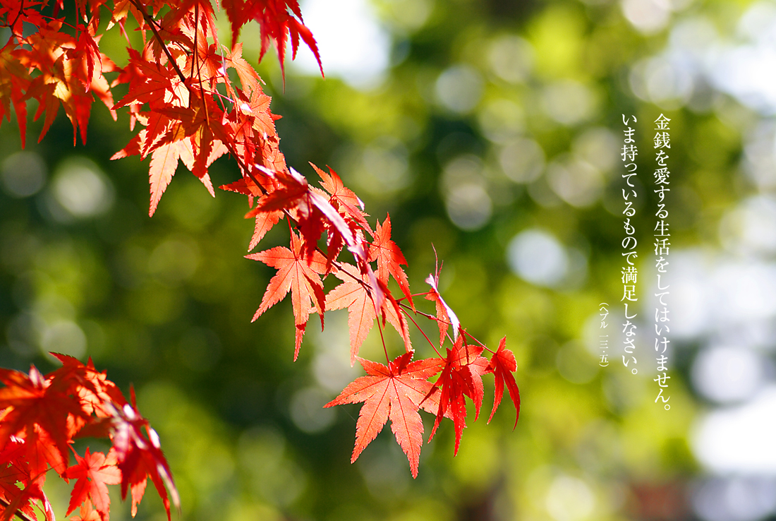 紅葉